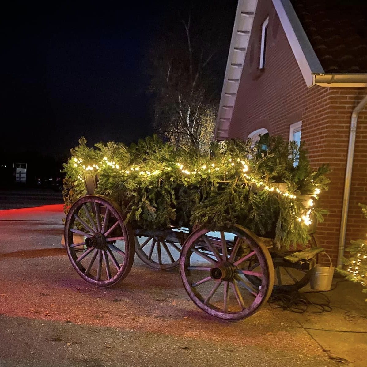 319303666_671778951314644_6065929514723080280_n