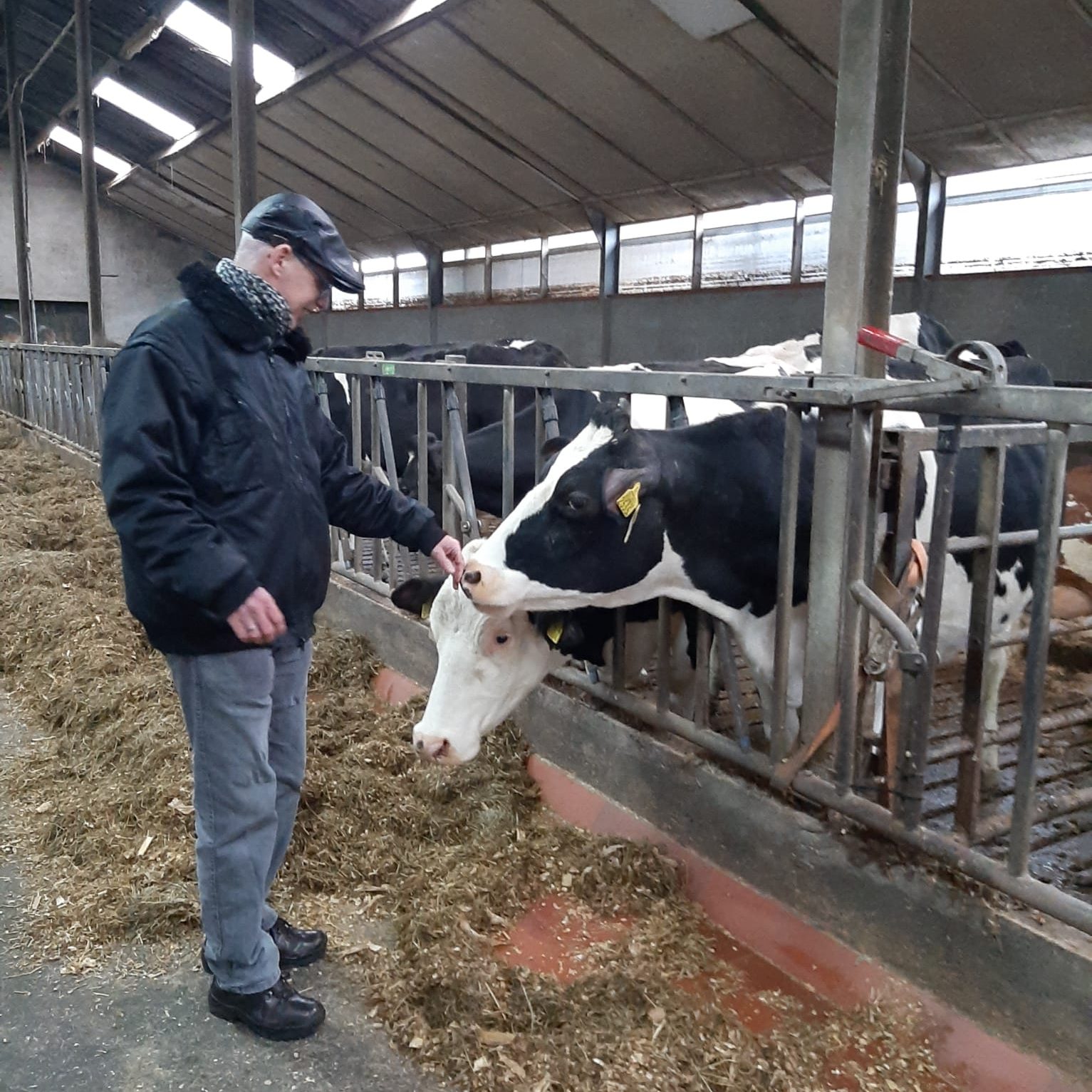 2023-02-03 1481409a-80bb-408a-8e7f-68ee13438742