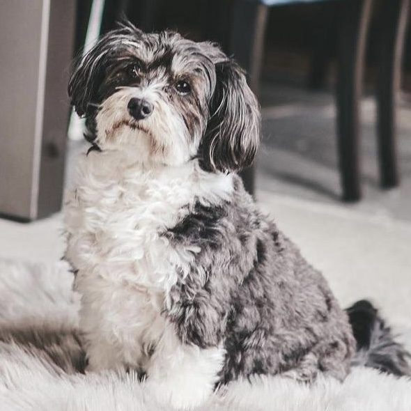 IMG_1795 2023-04-01 11-51 742945f3-e997-4c36