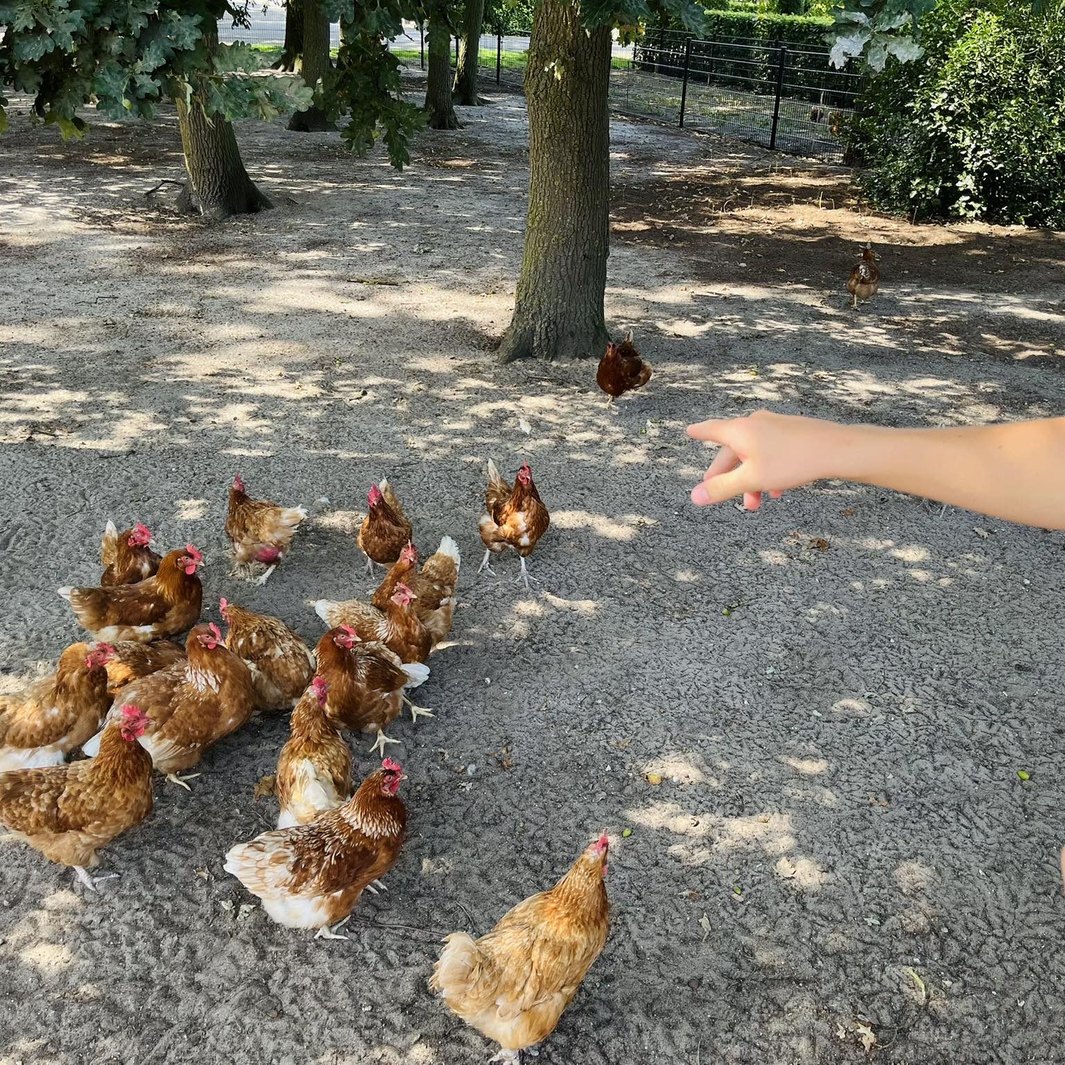 1 531409568_1295854292240437_8707359140010513476_n